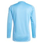 aston villa adidas goalkeeper shirt 2024-25 – long sleeve – 201964005 with custom printing Collection | Aston Villa Football Kits and Shirts