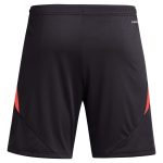 aston villa adidas goalkeeper shorts 2024-25 – 201964002 with custom printing Collection | Aston Villa Football Kits and Shirts