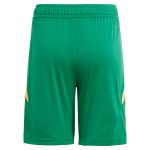 aston villa adidas goalkeeper shorts 2024-25 – 201964010 with custom printing Collection | Aston Villa Football Kits and Shirts