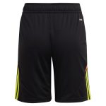 aston villa adidas goalkeeper shorts 2024-25 – kids – 201964004 with custom printing Collection | Aston Villa Football Kits and Shirts