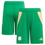 aston villa adidas goalkeeper shorts 2024-25 – kids – 201964012 with custom printing Collection | Aston Villa Football Kits and Shirts