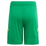 aston villa adidas goalkeeper shorts 2024-25 – kids – 201964012 with custom printing Collection | Aston Villa Football Kits and Shirts