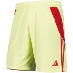 aston villa adidas goalkeeper shorts 2025-26 with custom printing Collection | Aston Villa Football Kits and Shirts